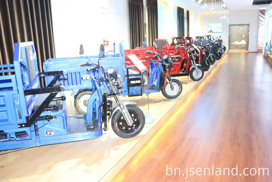 800 ডাব্লু মোটর ছোট বৈদ্যুতিক ট্রাইসাইকেল 800 W Motor Small Electric Tricycle